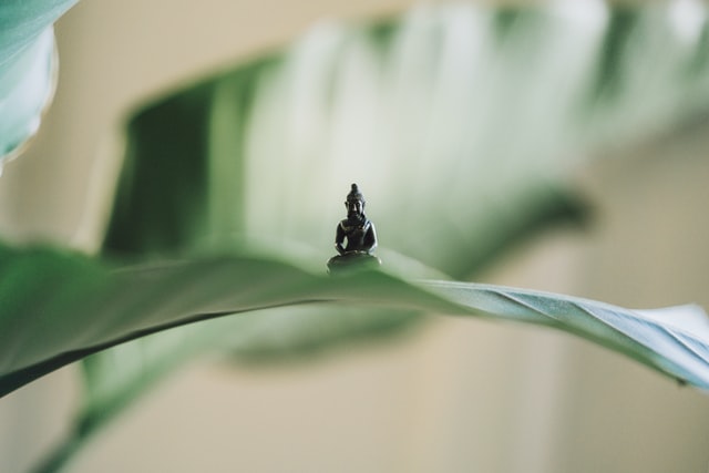 Bouddha qui médite